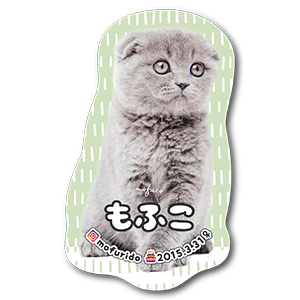 全身型抜き猫のペット名刺