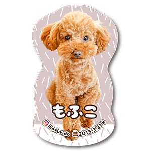 全身型抜き犬のペット名刺