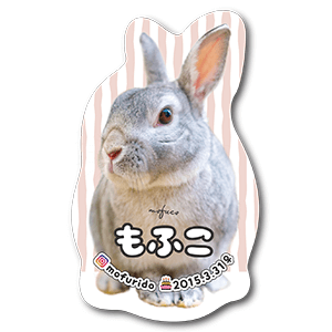 全身型抜き兎のペット名刺