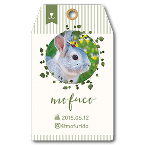 兎のナチュラル系タグ型ペット名刺