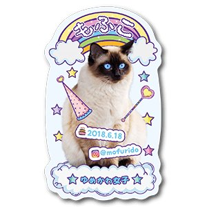 ゆめかわいい猫のペット名刺