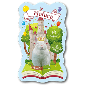 飛び出す絵本デザインの兎のペット名刺