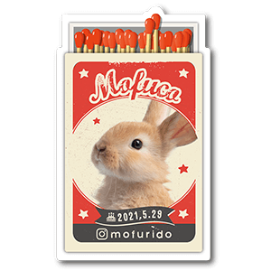 レトロなマッチ箱デザインの型抜きペット名刺