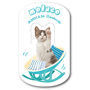 揺れる・飛び出る・自立する！ロッキングチェアデザインの型抜きペット名刺