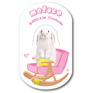 揺れる・飛び出る・自立する！ロッキングチェアデザインの型抜きペット名刺
