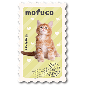 切手デザインの型抜きペット名刺