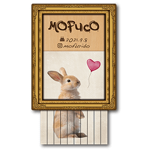 額縁とシュレッダーデザインの型抜きペット名刺