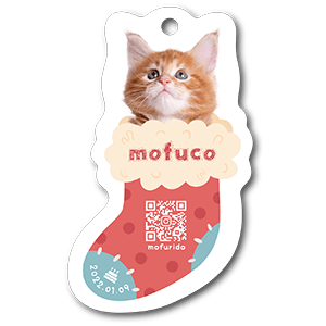 くつしたデザインの型抜きペット名刺