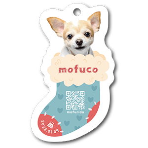 くつしたデザインの型抜きペット名刺