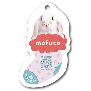 くつしたデザインの型抜きペット名刺