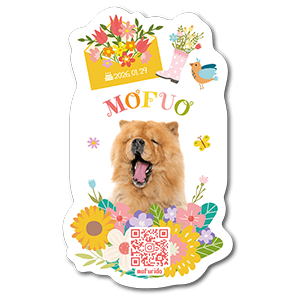 春色のモチーフを配置したポップな型抜きデザイン