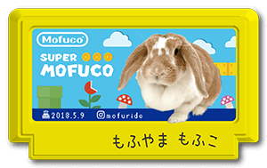 ファミコンカセットになった兎のペット名刺