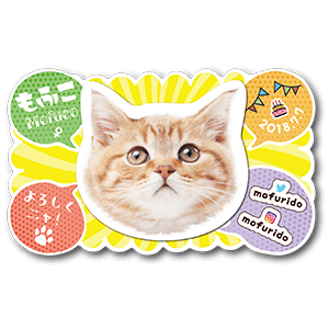 もふもふな型抜きの猫のペット名刺