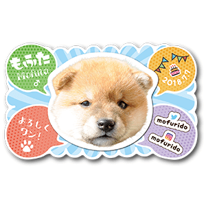 もふもふな型抜きの犬のペット名刺