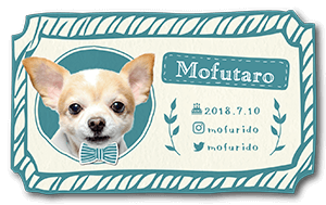 手書きフレーム型の犬のペット名刺