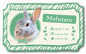 手書きフレーム型のうさぎのペット名刺