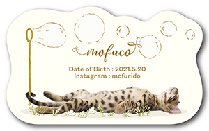 シャボン玉ザインの型抜きペット名刺