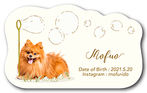 シャボン玉デザインの型抜きペット名刺