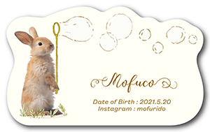 シャボン玉デザインの型抜きペット名刺