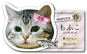 お顔とストライプ背景の型抜きペット名刺