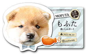 お顔とストライプ背景の型抜きペット名刺