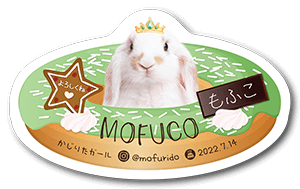 ドーナツデザインの型抜きペット名刺