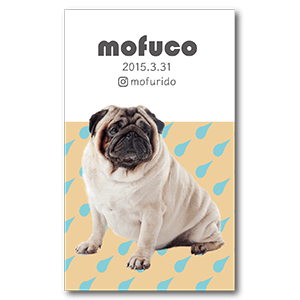 幾何学模様の犬のペット名刺