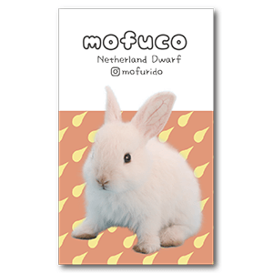 幾何学模様の兎のペット名刺