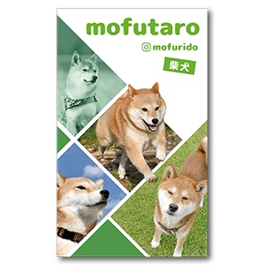 写真を4枚使用可能な犬のペット名刺