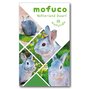 写真を4枚使用可能な兎のペット名刺