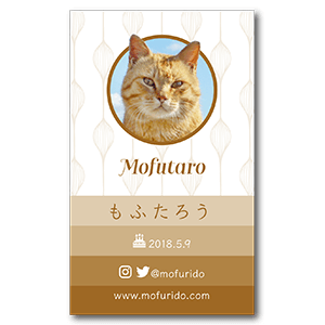 シンプルエレガントな猫のペット名刺