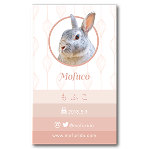 シンプルエレガントな兎のペット名刺