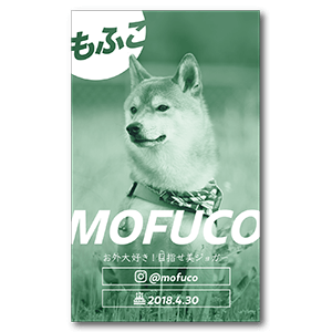 ビビットカラーな犬のペット名刺