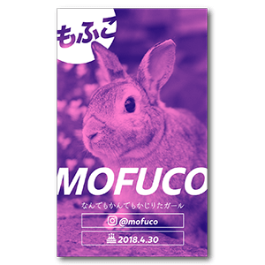 ビビットカラーな兎のペット名刺