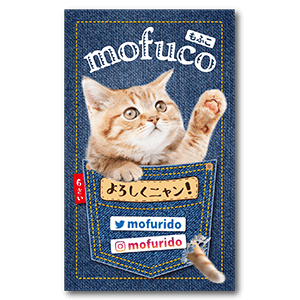 デニムポケットから猫が飛び出すペット名刺