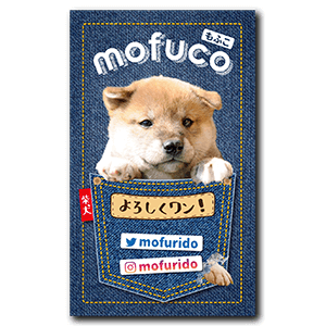 デニムポケットから犬が飛び出すペット名刺
