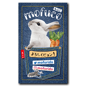 デニムポケットから兎が飛び出すペット名刺