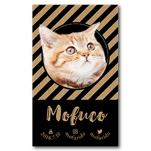 クラフト紙の様な質感に黒を効かせた猫のペット名刺