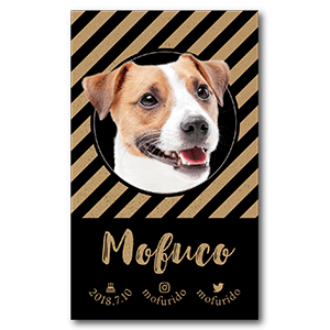 クラフト紙の様な質感に黒を効かせた犬のペット名刺