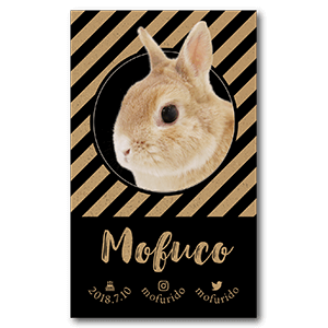 クラフト紙の様な質感に黒を効かせたうさぎのペット名刺