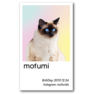 ペールグラデーションの猫のシンプルペット名刺