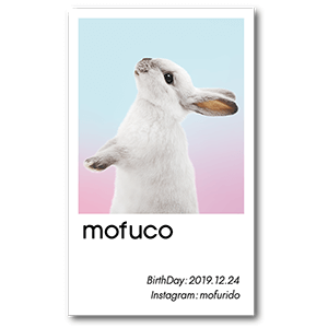 ペールグラデーションのうさぎのシンンプルペット名刺