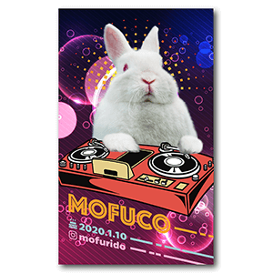 DJデザインのうさぎのペット名刺