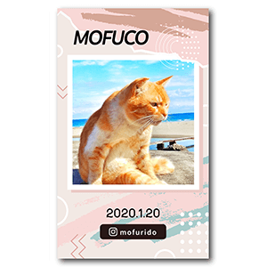 幾何学フレームの猫の長方形ペット名刺