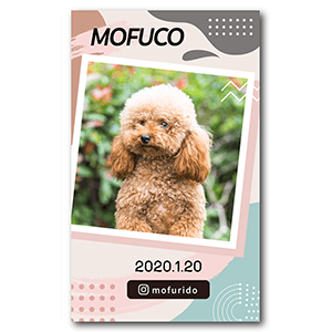 幾何学フレームの犬の長方形ペット名刺