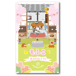 春の縁側の猫の長方形ペット名刺