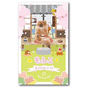 春の縁側の犬の長方形ペット名刺