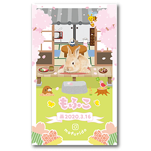 春の縁側のうさぎの長方形ペット名刺