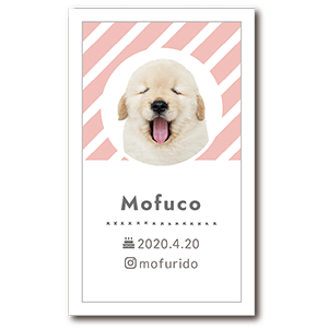 シンプル柄と丸枠の犬の長方形ペット名刺