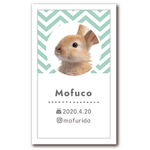 シンプル柄と丸枠のうさぎの長方形ペット名刺